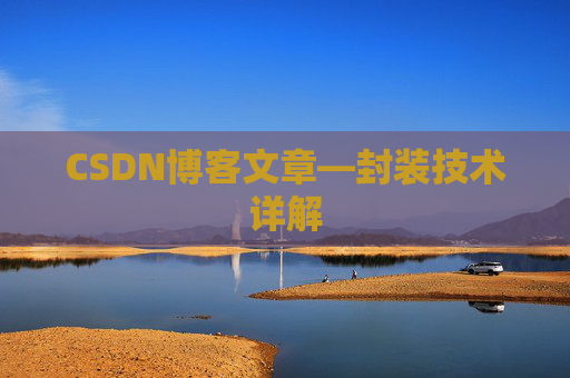 CSDN博客文章—封装技术详解